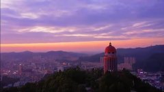 绿肺之殇：观音山毁林背后的多方博弈与治理困